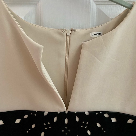 Cream & Black laser cut sheath dress NWOT - Picture 2 of 5